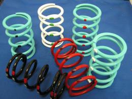 Dalton Clutch | Primary Spring | Polaris | DPPS | K Tuning